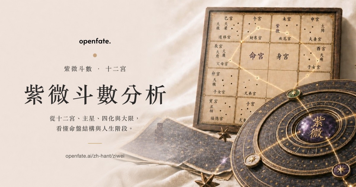 紫薇斗数盤 [磁石吸引で紫薇盤作る練習具] 紫微斗数推命術 張耀文 紫薇